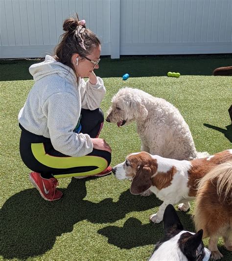 Employment Opportunities | Metro Dogs Daycare Downtown Minneapolis