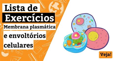 Atividades Sobre Membrana Plasmática