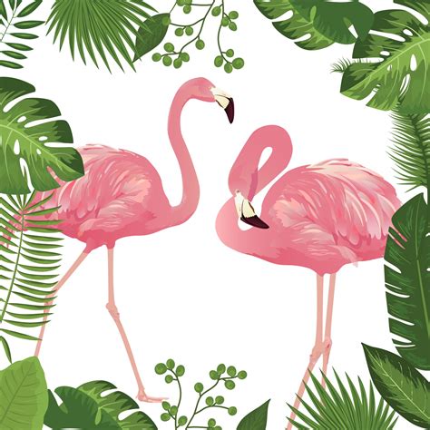 Flamingo Trópusi Levelek Keret Szabad Kép Public Domain Pictures