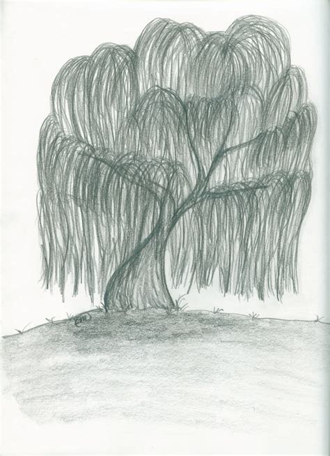 Step By Step Simple Willow Tree Drawing Easy Drawing Ideas
