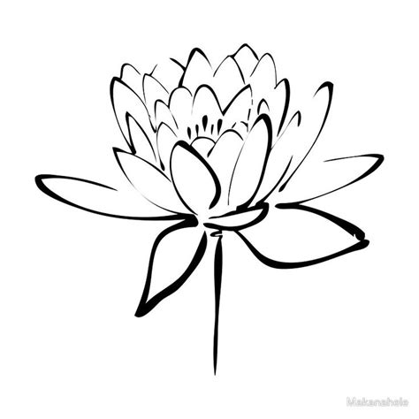 Flower lotus illustration in vector. Lotus Flower Line Drawing | Free download on ClipArtMag