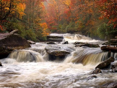 Autumn Mountain River Stock Image Image Of North Deciduous 18380181
