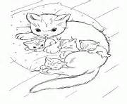 Halloween artwork or coloring page. advanced cat sugar skull Coloring pages Printable