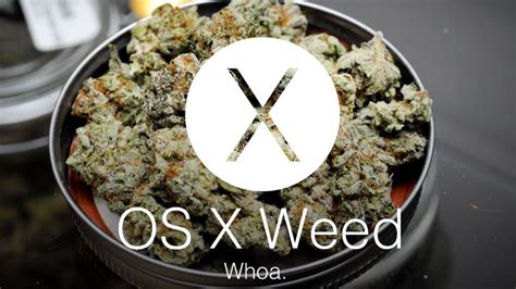 10 Rejected Os X Weed Slogans That Apple Puff Puff Passed On