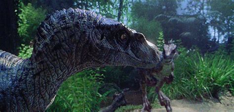Nouveau Pour Raptor  Jurassic Park Abdofolio