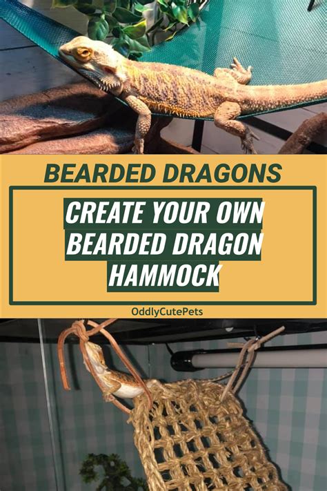 The only missing part is the substrate repressing the the adventure box has bearded dragon terrarium décor that brings adventure for the dragon. DIY Bearded Dragon Hammock | Bearded dragon hammock, Bearded dragon diy, Bearded dragon