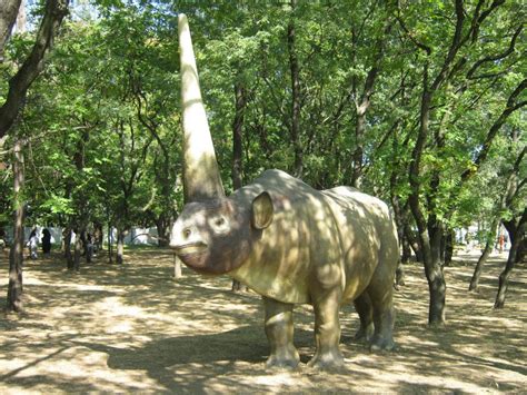 The species, elasmotherium, was first named in 1808 by based on the size and condition of the skull, it has been suggested that it was a very old male. Huge and hairy unicorns roamed the Earth longer than ...