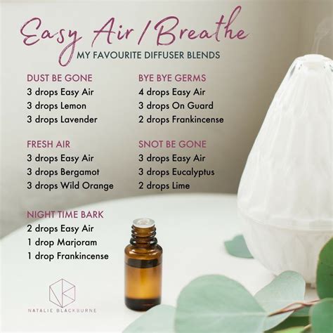 Pin On Essential Oils Diffuser Blends