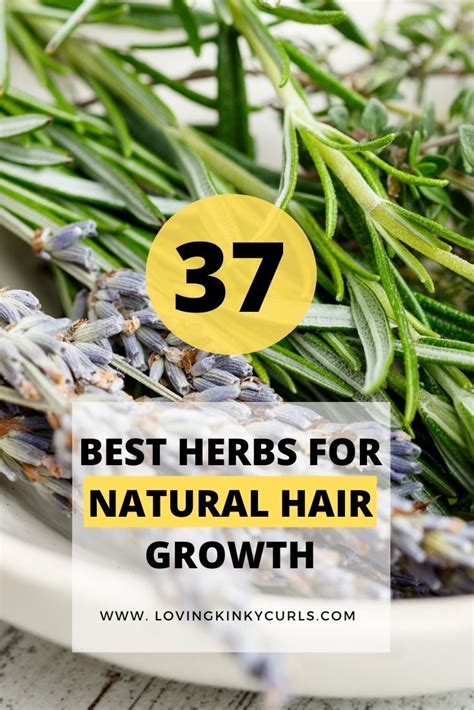 37 Best Herbs For Natural Hair Growth Artofit