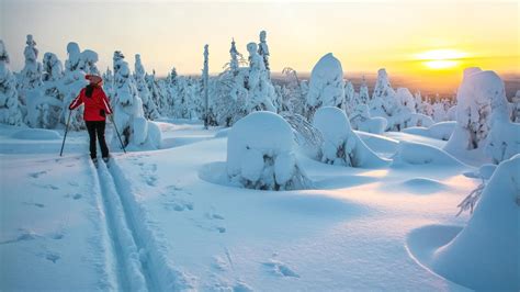 Lapponia Finlandese Clima Condizioni Della Neve Periodo Migliore Per La Visita