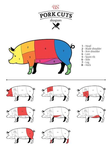 Diagrama De Cortes De Carne De Cerdo Estadounidense Vector Premium