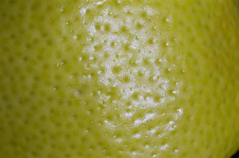 Yellow Lemon Peel Texture Stock Photo Image Of Background 64836256