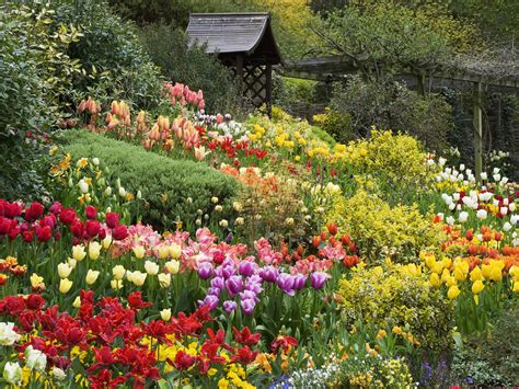 Top 20 Hình ảnh Vườn Hoa Và Ngôi Nhà Rất đẹp Hay Nhất 2022 Sửa Nhà