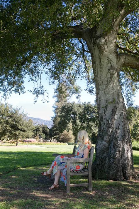 See more of the langham huntington, pasadena on facebook. Huntington Library Gardens of Pasadena, CA | Luci's Morsels