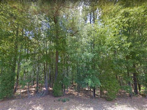 Edgefield Edgefield County Sc Undeveloped Land Horse Property For