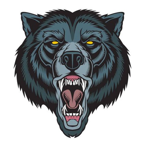 Growling Grizzly Bear Cartoons Illustrations Royalty Free Vector