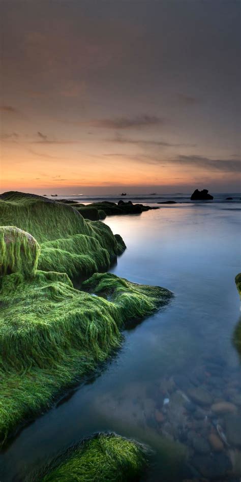 1080x2160 Rocks Green Moss Coast Nature Wallpaper Landscape