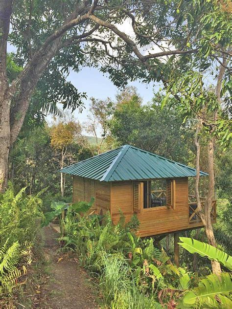 Gorgeous Rainforest Cabins In El Yunque Puerto Rico Eco Lodge Eco Lodges El Yunque Rainforest