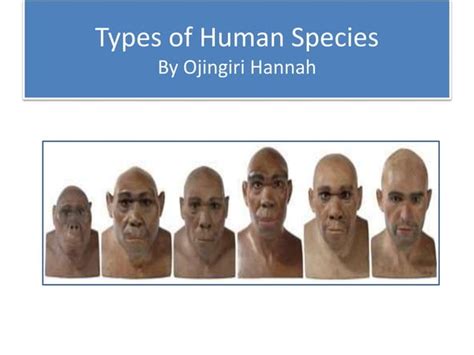 Types Of Human Species