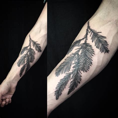 Sequoia Pine Needles For Brett For His Son Done Divingswallowtattoo