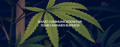 Smart Communication For Your Cannabis Business Canna Communication
