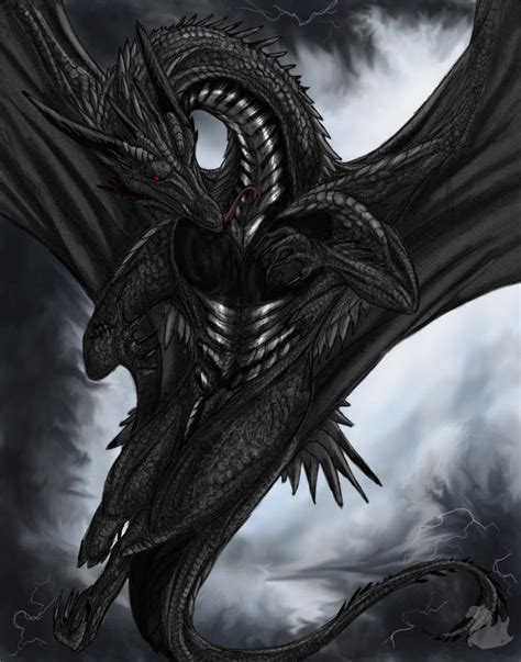 Ancient Black Dragon By Black Dragon Club On Deviantart