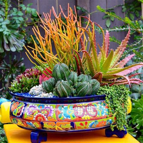 This Pot Mexican Garden Ideas Mexican Garden Garden Containers