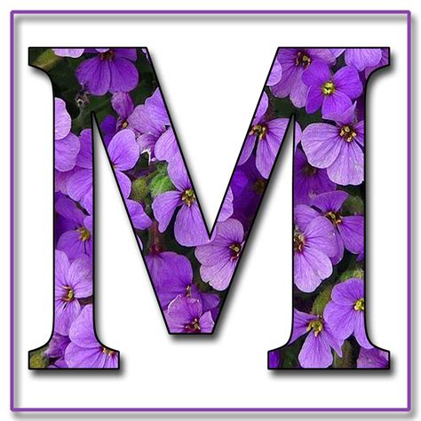 1000 Images About Letter M On Pinterest Initials Alphabet