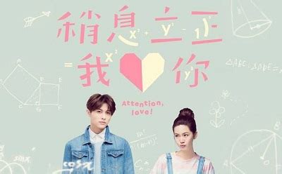 And the winner is love 2020 (çin). 稍息立正我愛你 - 维基百科，自由的百科全书