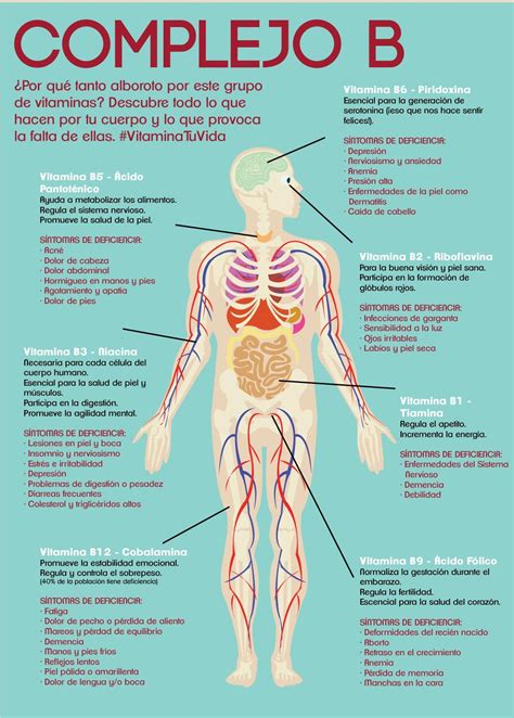 Infografia De Los Beneficios Vitaminas Complejo B Para Salud Vitamin