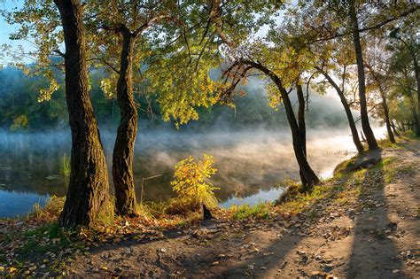 Sunrise Leaves River Mist Morning Forest Path Water Nature