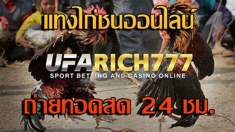 แทงไก่ชนออนไลน์ เล่นไก่ชนออนไลน์ผ่านมือถือ เล่นเดิมพันได้ง่ายๆ ไม่ยุ่ง