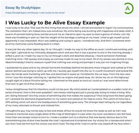 I Was Lucky To Be Alive Essay Example