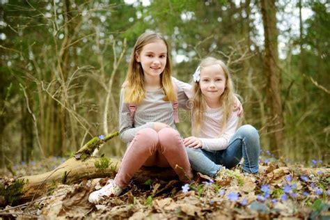 Zwei Nette Junge Schwestern Die Spaß Während Der Waldwanderung Am Schönen Vorfrühlingstag Haben