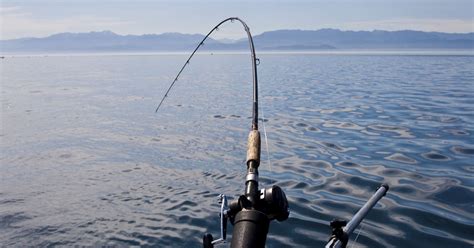 Today is license-free saltwater fishing day