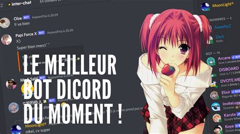 Zibo Le Meilleur Bot Discord Du Moment Youtube