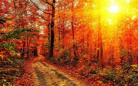 That Touch Of Autumn Beautiful Autumn Scenery Wallpaper