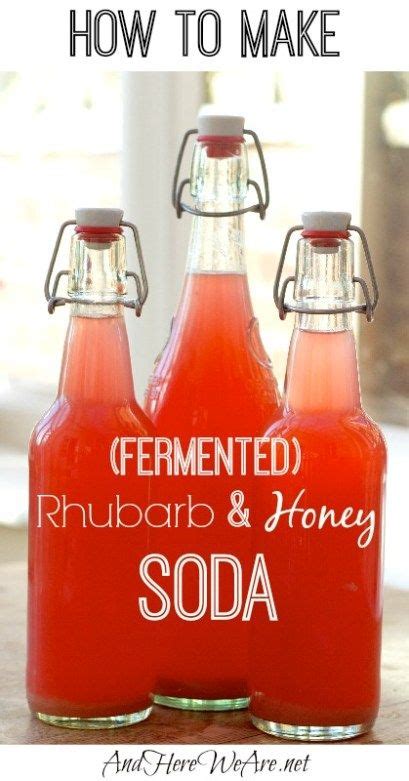How To Make Rhubarb Soda Its Naturally Probiotic