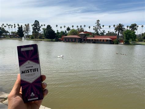 8 Best Parks In Los Angeles For Cannabis Lovers Mistifi