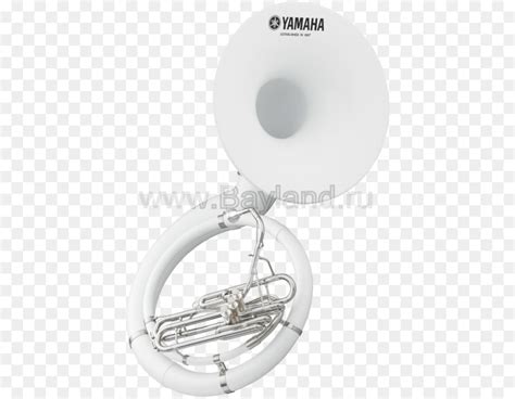 Musical Instruments Saxhorn Trumpet Tuba Sousaphone Tuba Png Download