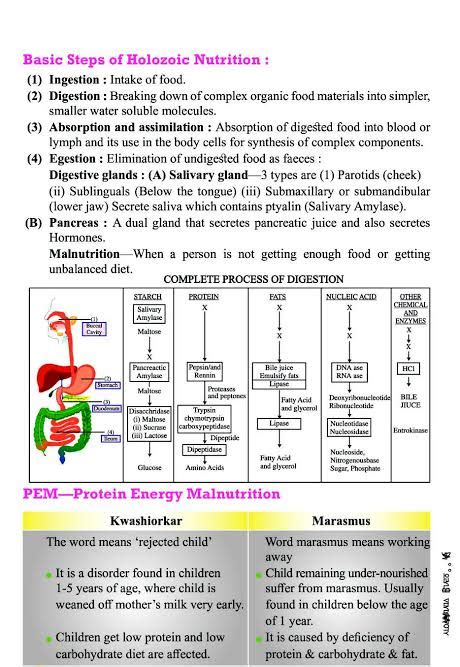 Digestion And Absorption Class Biology Ncert Highlights In One Shot