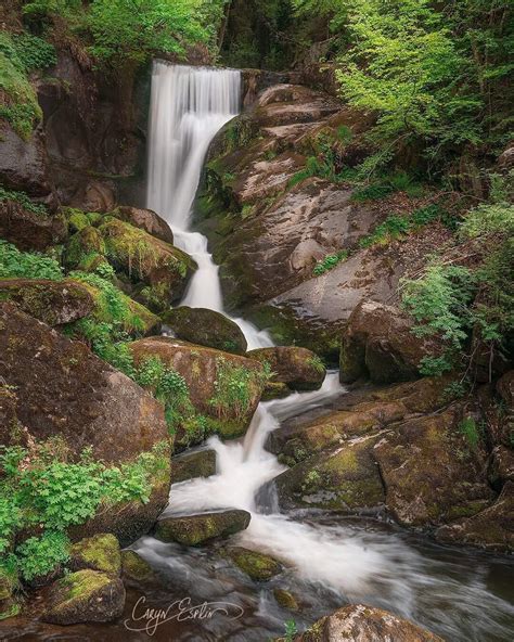 Photo Tips Black Forest German Waterfalls Caryn Esplin Fine Art