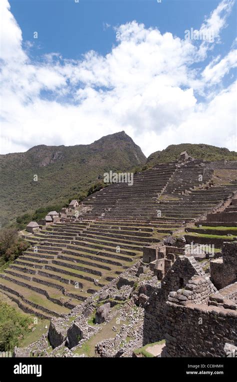 Machu Picchu Peru The Agricultural Terraces Machu Picchu Peak In The