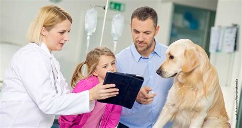 Animal owners trust you with their pets. Educate and elevate - Today's Veterinary Business