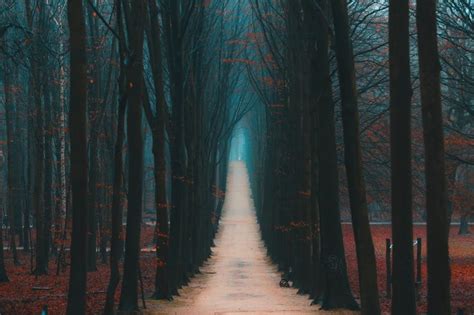 Recherchez et comparez les hôtels près de ter kamerenbos / bois de la cambre avec skyscanner hôtels. Photo story: Magical Bois de la Cambre - We Love Brussels