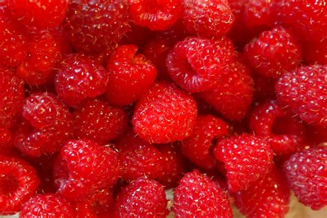 Red Strawberry · Free Stock Photo