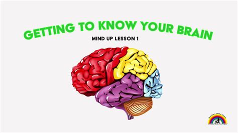 Mind Up Lesson 1 Getting To Know Your Brain Youtube