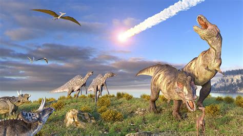Scientists Find Rocks That Record First Moments Of Dinosaur Extinction