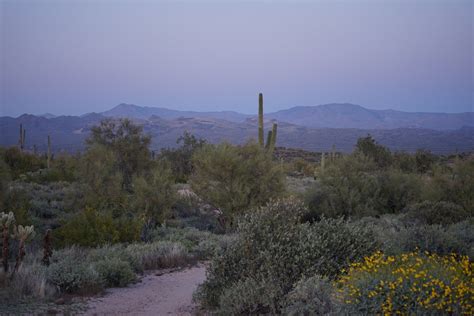 Arizona — Abby Cima I Photographer