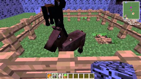 Minecraft Tutorial 8 Cruzando Os Cavalos Youtube
